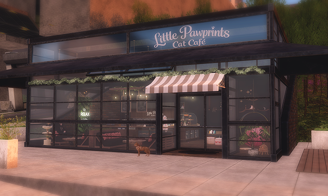 Little Pawprints Cat Cafe