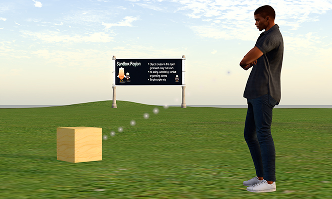 Premium Adult Sandbox - Bricker