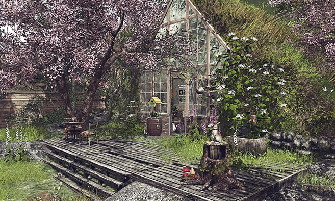 The Nature Collective In Bloom