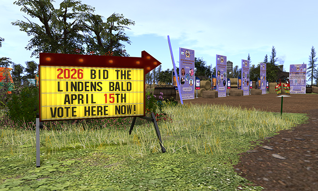 Bid the Lindens Bald