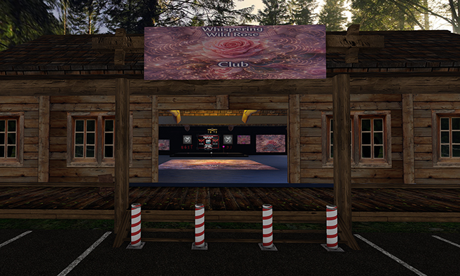 Whispering Wild Rose