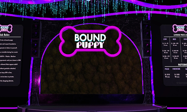 The Bound Puppy