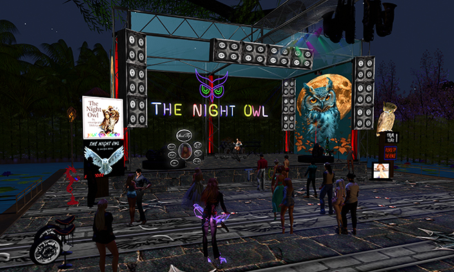 The Night Owl