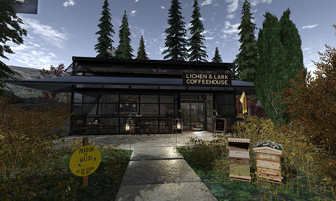 Lichen & Lark Coffeehouse