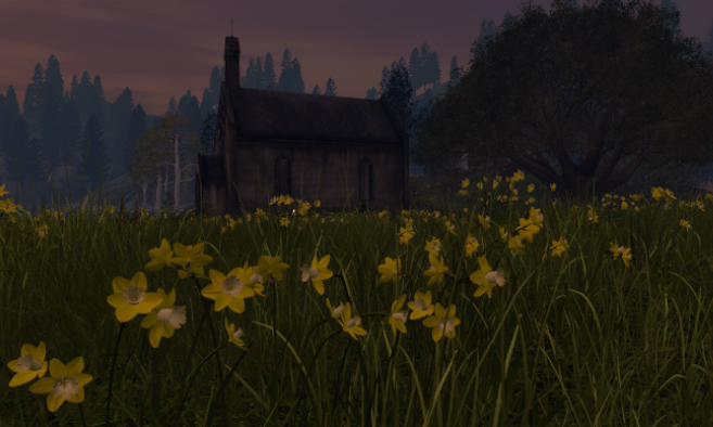 Visual Poetry: Daffodils