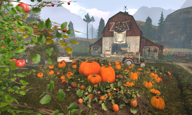 Autumn Wild Woods