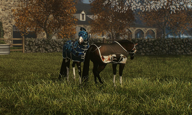 Evergarden Equestrian - Main Stables