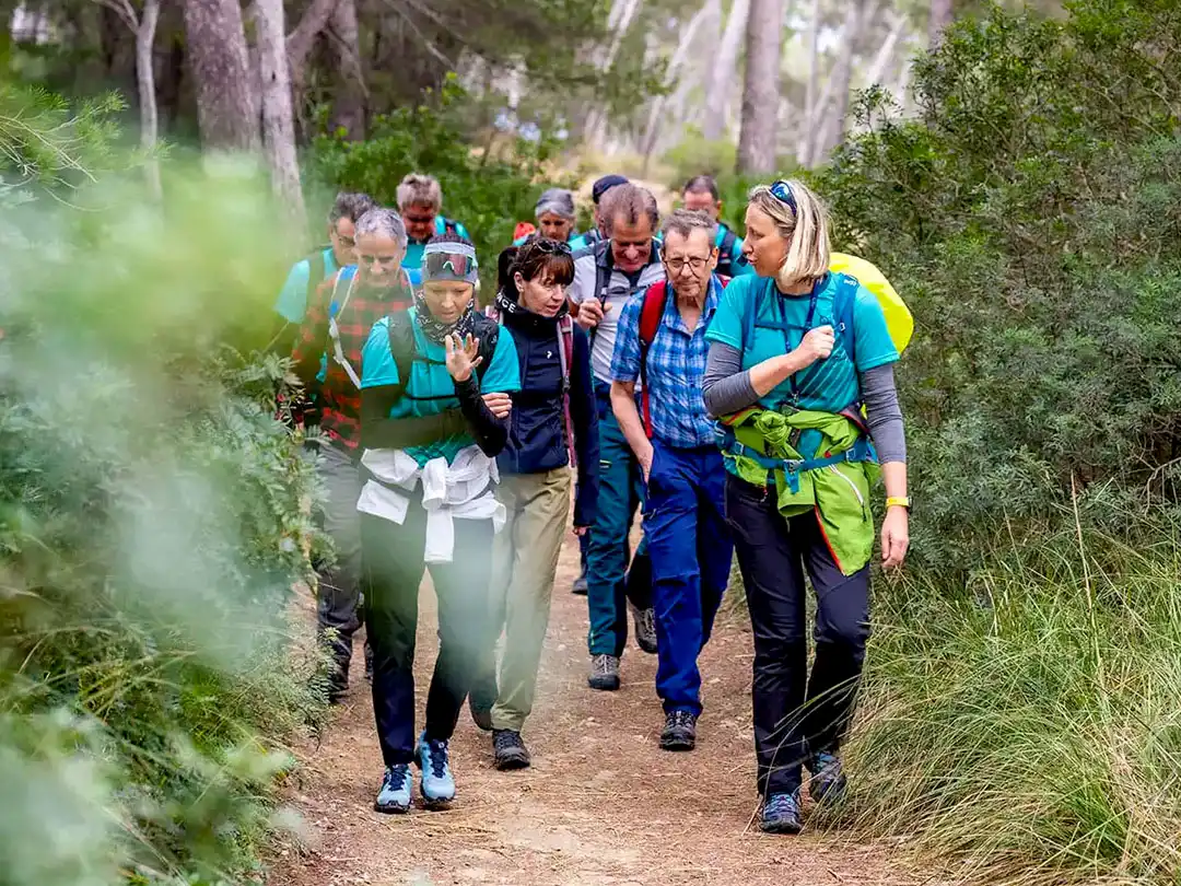 Group of hikers walking on a forest trail surrounded by green trees and bushes.