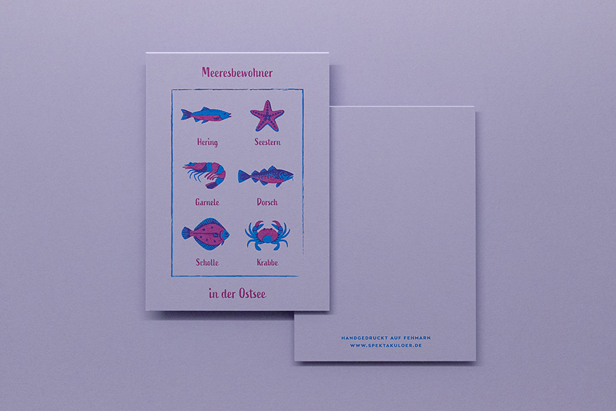 Postkarte mit Illustration von Meeresbewohnern in der Ostsee