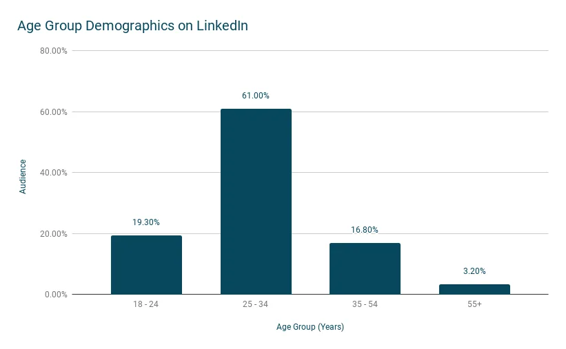 Age Group Demographics on LinkedIn.png