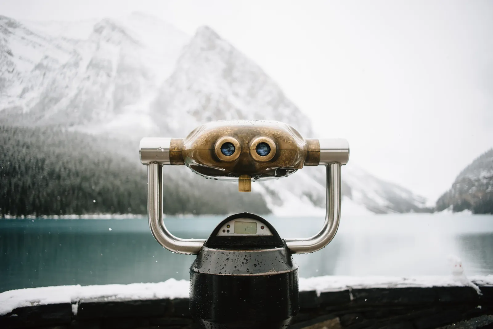 The 3 Things We Look For in Founders