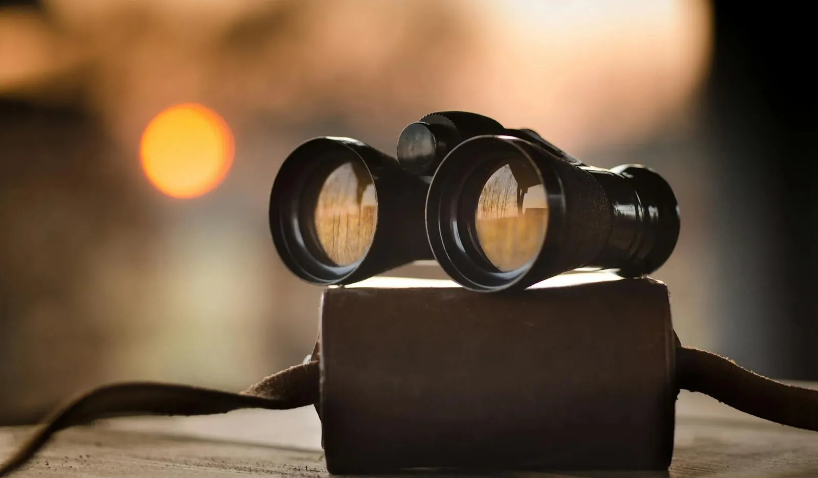 The Iterative Scout Program