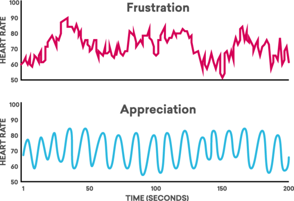 Diagrama del Ritmo Cardiaco bajo la influencia de la Apreciación y la Frustración
