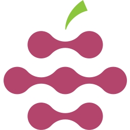 Raspberry Ventures logo