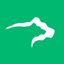 Two Bear Capital logo