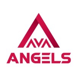 AVA Angels logo