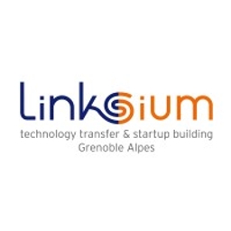 Linksium logo