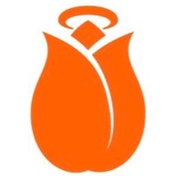 Holland Startup logo