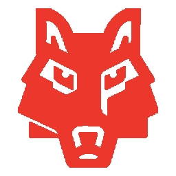 NetService Ventures Group logo