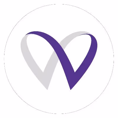Vida Ventures Fellowship Program