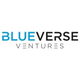 Blueverse Ventures logo