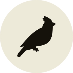 Black Jays Ventures logo