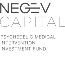 Negev Capital logo