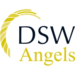 DSW Ventures logo
