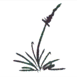 Rush Creek Pty Limited logo