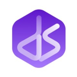 Digital Space Ventures logo