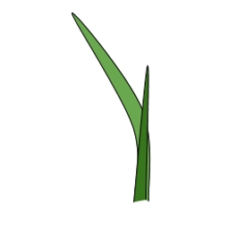 First Leaf Capital logo