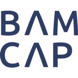 BAMCAP logo
