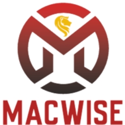 Macwise Capital logo