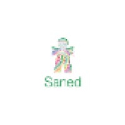 Saned Equity Partners logo