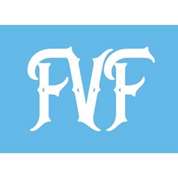 Fintech Ventures Fund logo