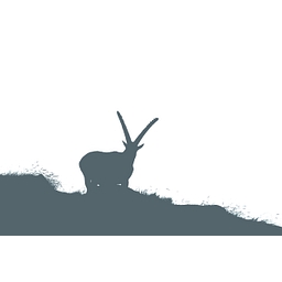 IBEX Equity Partners logo