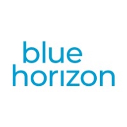 Blue Horizon logo