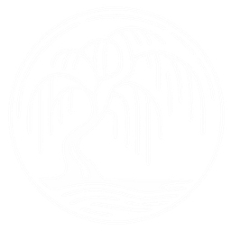 Yanagi Capital Partners logo