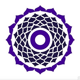 True Wealth Ventures logo