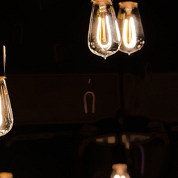 Nest Catalyst Ventures logo