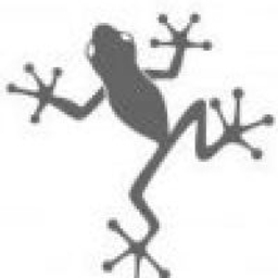 Frog Ventures logo