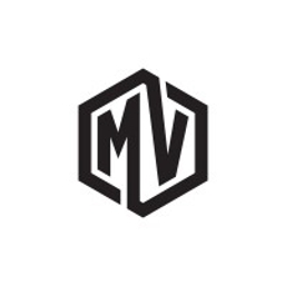 MAVA Ventures logo