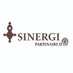 Sinergi Niger logo