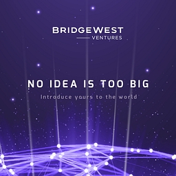 Bridgewest Ventures NZ logo