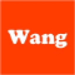 Wang LLC logo