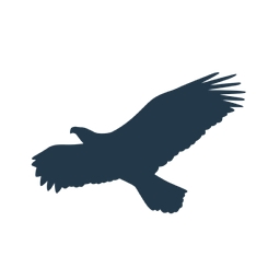 Corvus Ventures logo