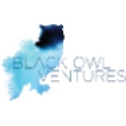 Black Owl Ventures logo