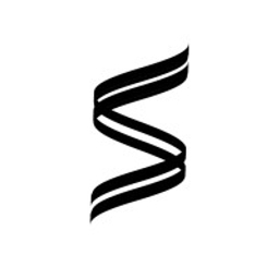 Silver Surfer Ventures logo