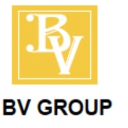 BV Cornerstone Ventures logo