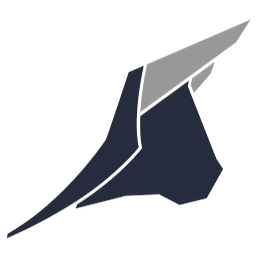 NGII Capital Inc. logo